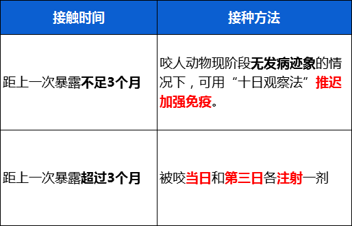 【养育无忧】5岁男孩被狗咬掉上唇：狂犬病，父母必须知道这几点！