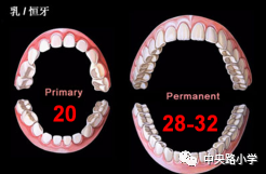 7caa0f6eee4445aa91e2269e038f331e.png