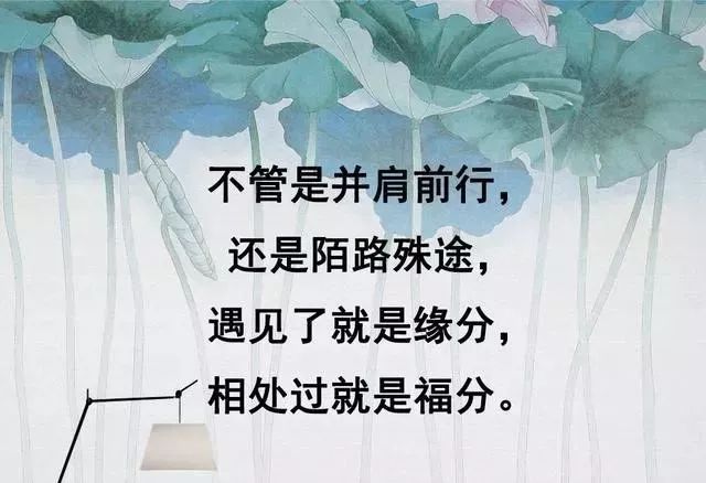81c7f2da147c4fb28d6f049dcae23c74.jpeg