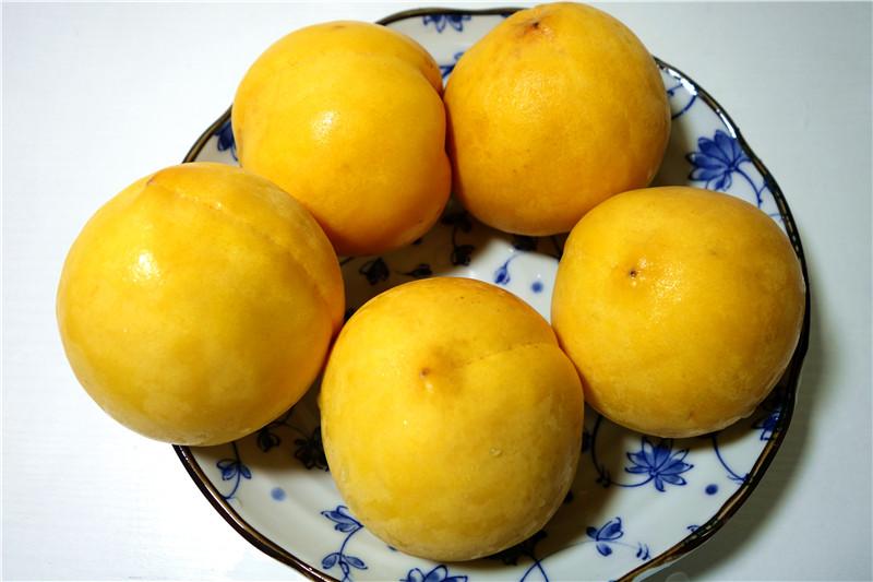 怎么挑选好的黄桃 85bf92ea217f4a30a162e5cf3765869c.jpeg