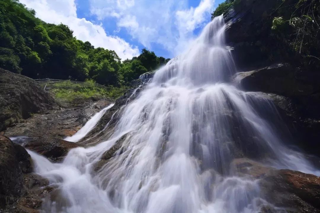 溪鱼免费抓,走进大山味道落霞谷 地点:九鹏溪景区 武平梁野山生态旅游