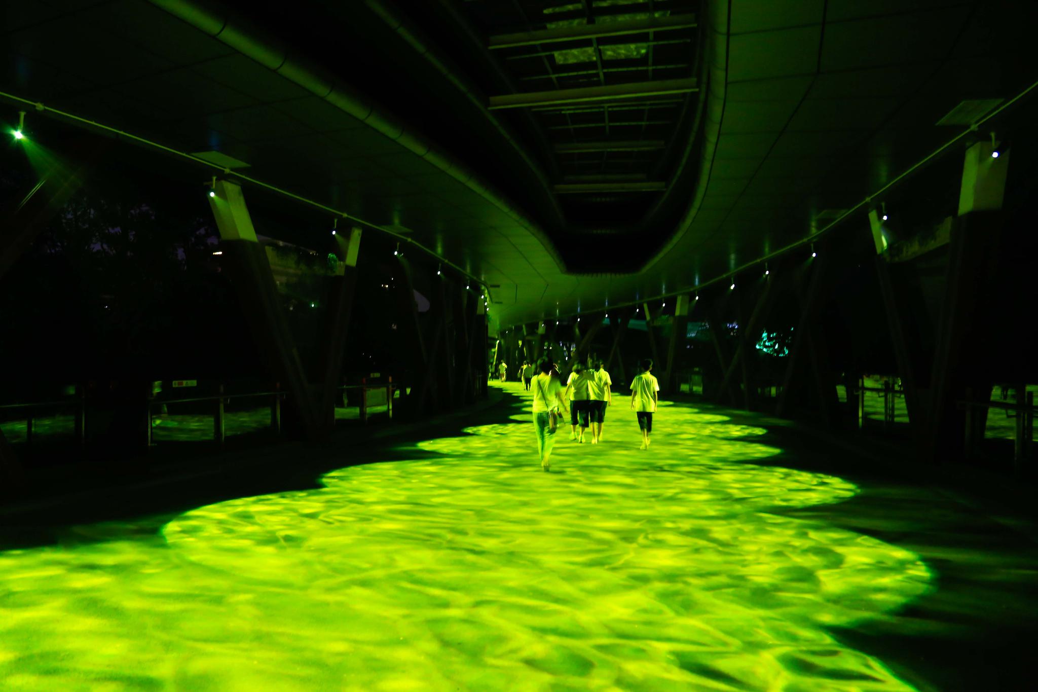 流光溢彩5d魔幻公园光与影的奇妙旅程安吉中国竹博园首次亮相