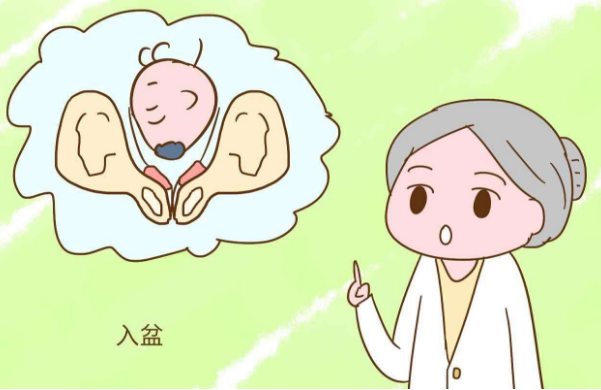 9173ec5880f443fe8720cbd2dd87f2cd.png