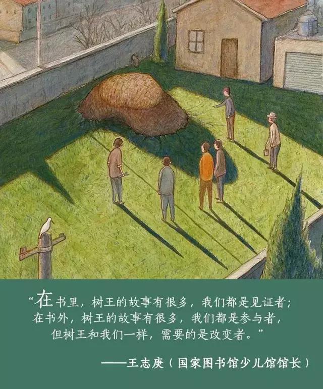 绘本《树王》除了毁灭,我们还可以创造