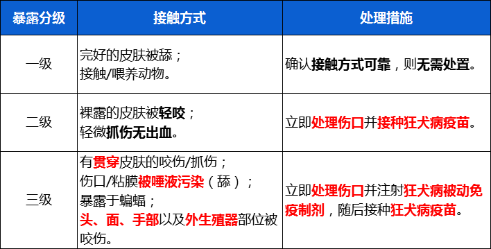 【养育无忧】5岁男孩被狗咬掉上唇：狂犬病，父母必须知道这几点！