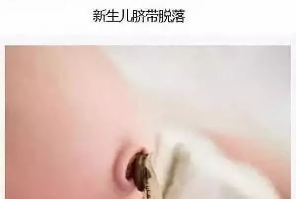 a1202760f27e411bb8f9f378436507f3.jpeg