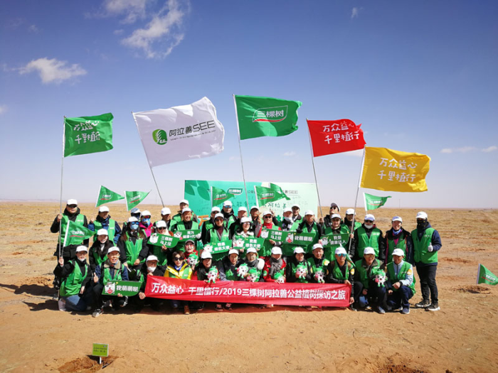 疯狂猜成语伐木三棵树_三棵树图片(2)