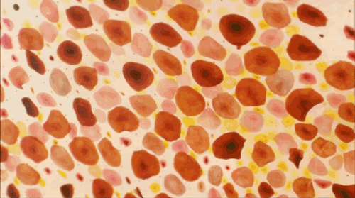 a53b5539317f4ec7afc70bbed545810d.gif