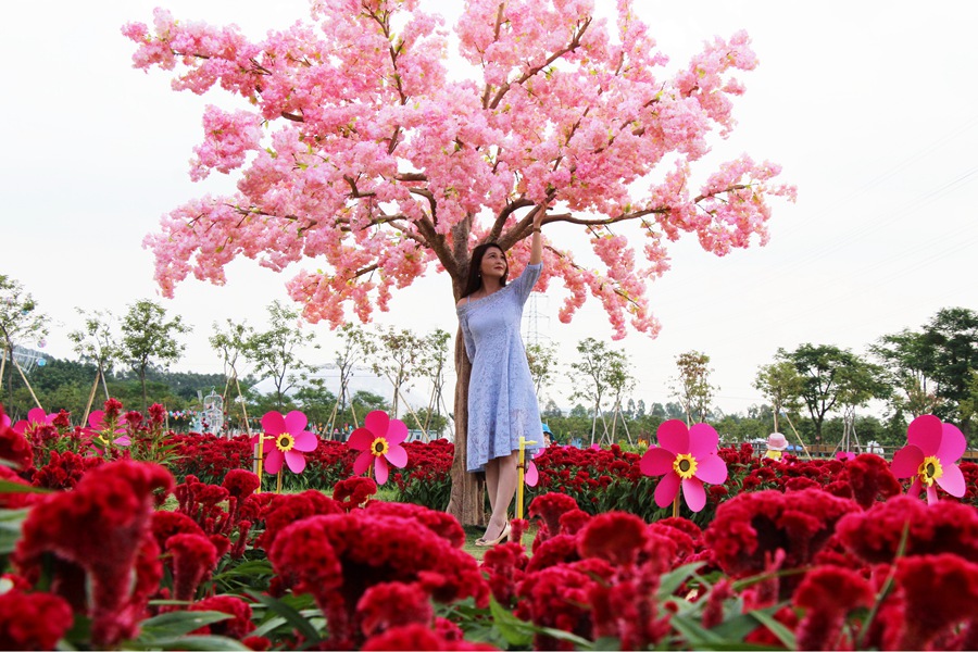 国庆假期到盈香生态园来一趟美景美食之旅
