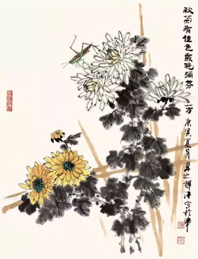 蓝色小野菊与黄菊花色彩对比强烈.