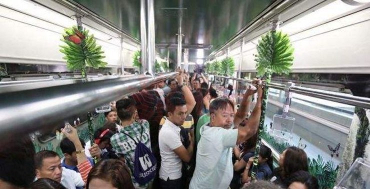 黄二十八多少人口_博社村人口多少(3)