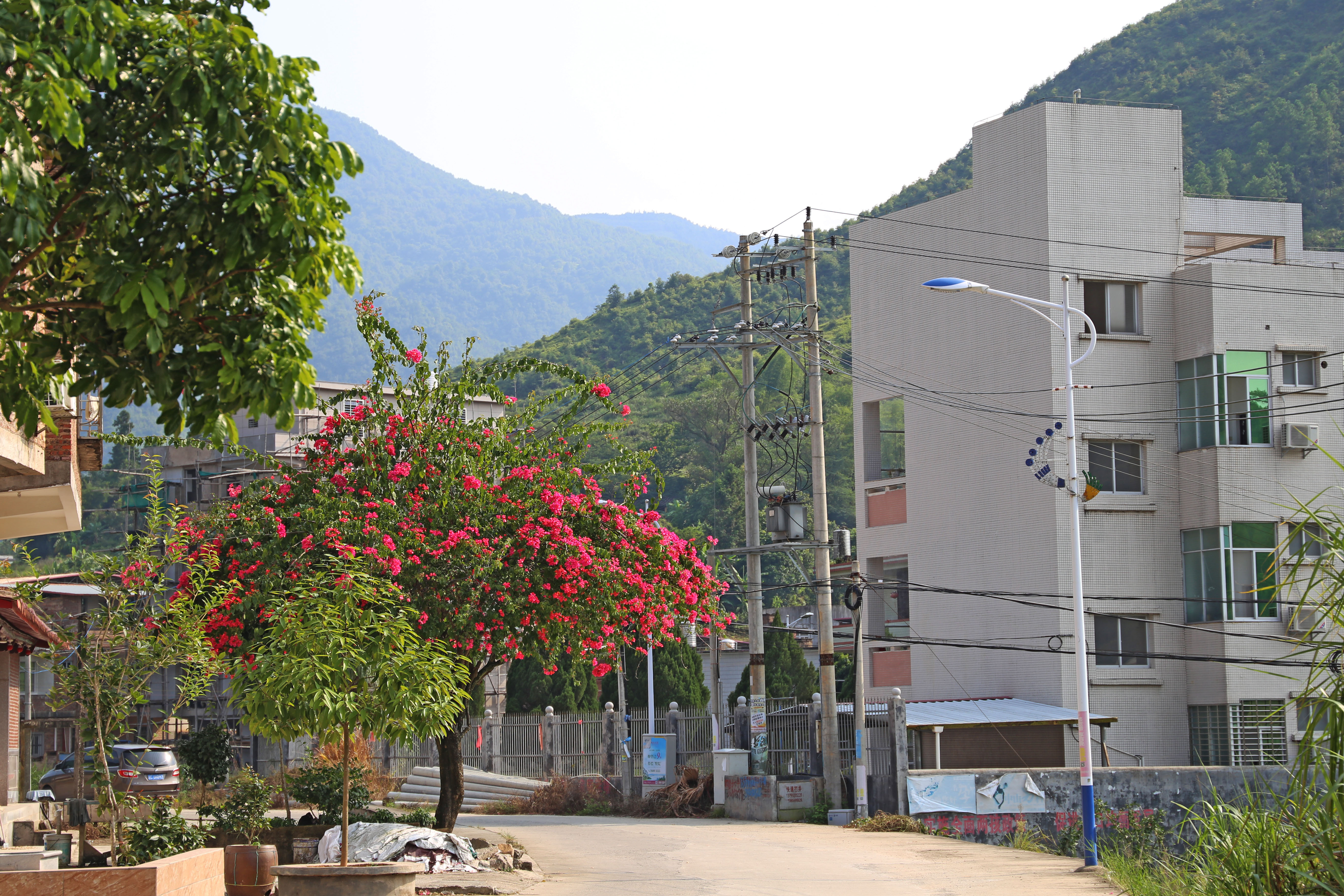 宜居宜游新农村——安溪蓬莱镇龙居村