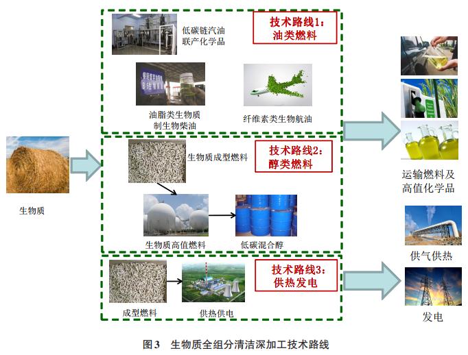 建立以生物质资源为基础,到生物液体燃料,再到高值化学品的关键技术和