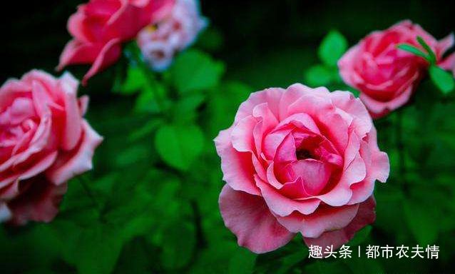 e2ffdd40120a41deb3618a75074aef6c.jpeg