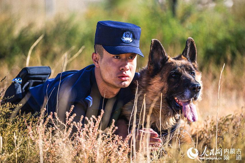 实拍内蒙古边检警犬大练兵