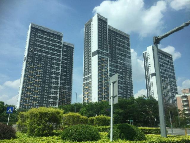 花园人口数_紫罗兰永恒花园(3)