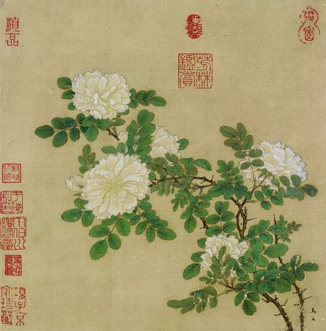 马远 白蔷薇图绢本设色 26.2cm×25.