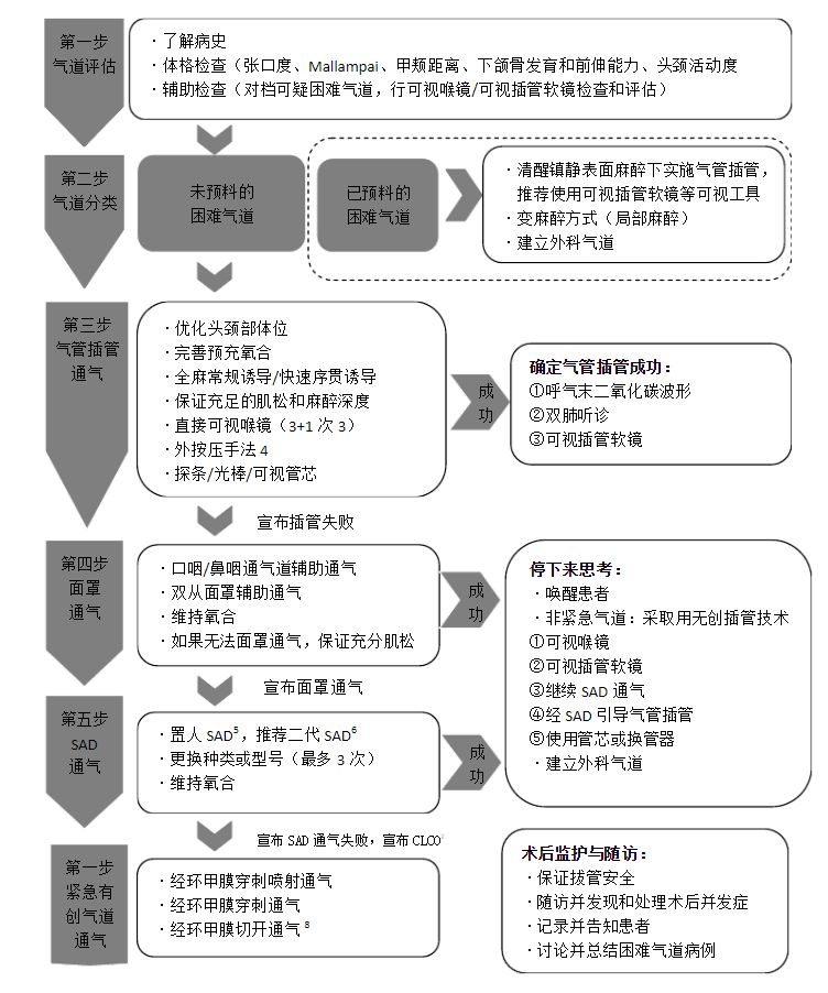 左明章教授:困难气道管理策略与流程