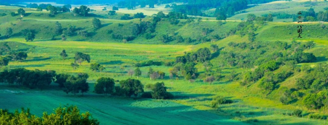 她一首《心的归宿》听了一遍又一遍!