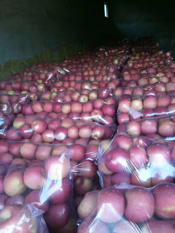 批发苹果怎么保存