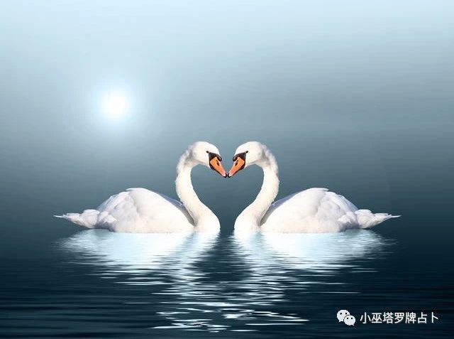 老鹅家的小月亮 03537e1eaeab4bfc9d55904f7f9da980.jpeg