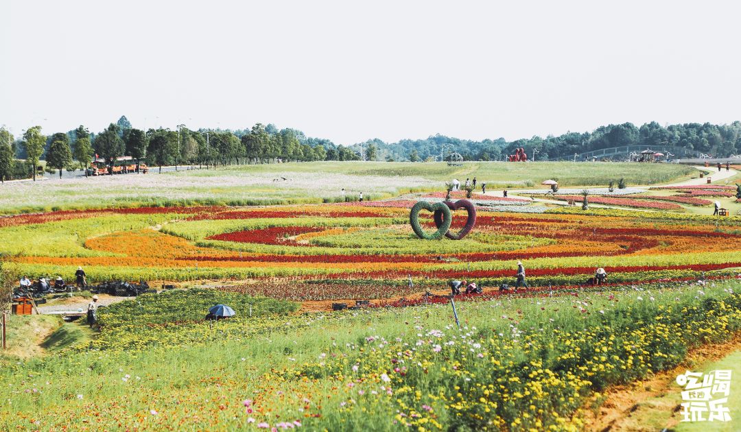 十一出游指南!就在家门口的未来科技超级乐园
