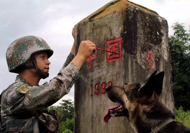 原创军犬顶着风霜驻守边疆12年,不曾喊过苦累,离世后受众人敬仰