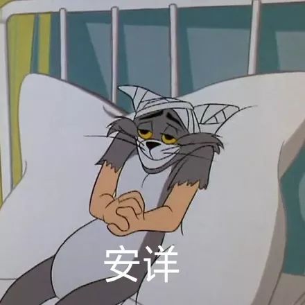 猫和老鼠表情包 | 泄气 安详 要死