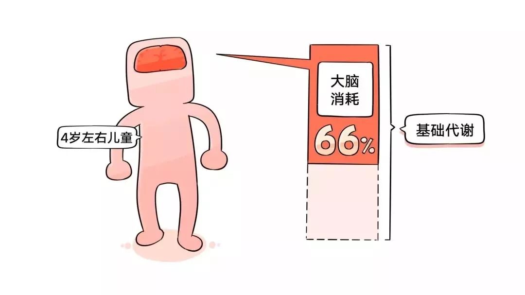 人类智商排名_人类智商天花板