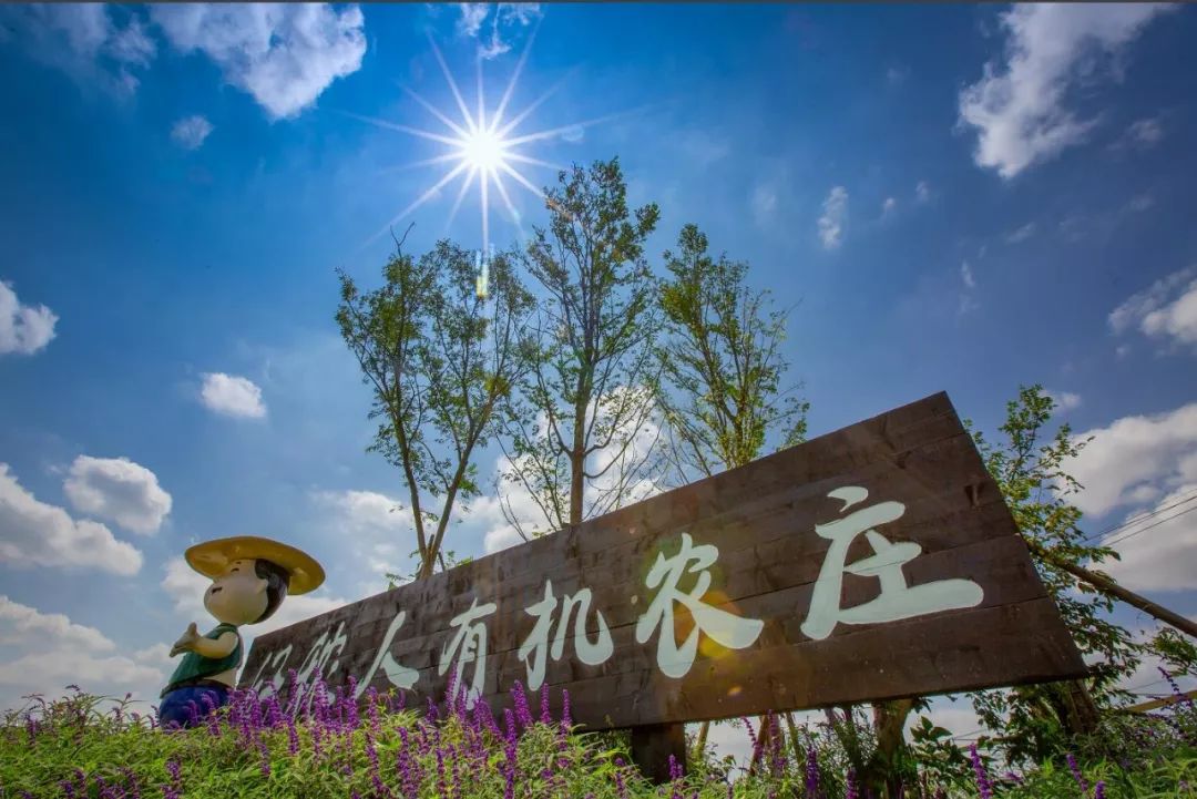 仅199元抢龙泉驿好秾人有机农庄景区单人门票1张风车走廊花海恐龙主题