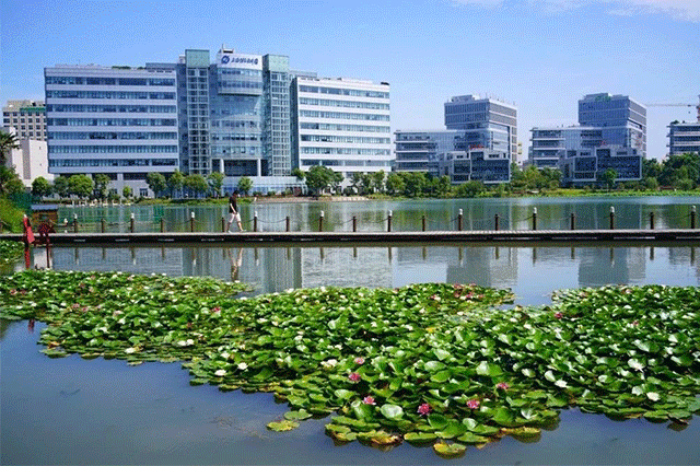 文章配图-6