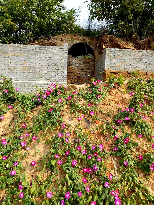 昂什么天什么成语_成语故事图片(3)