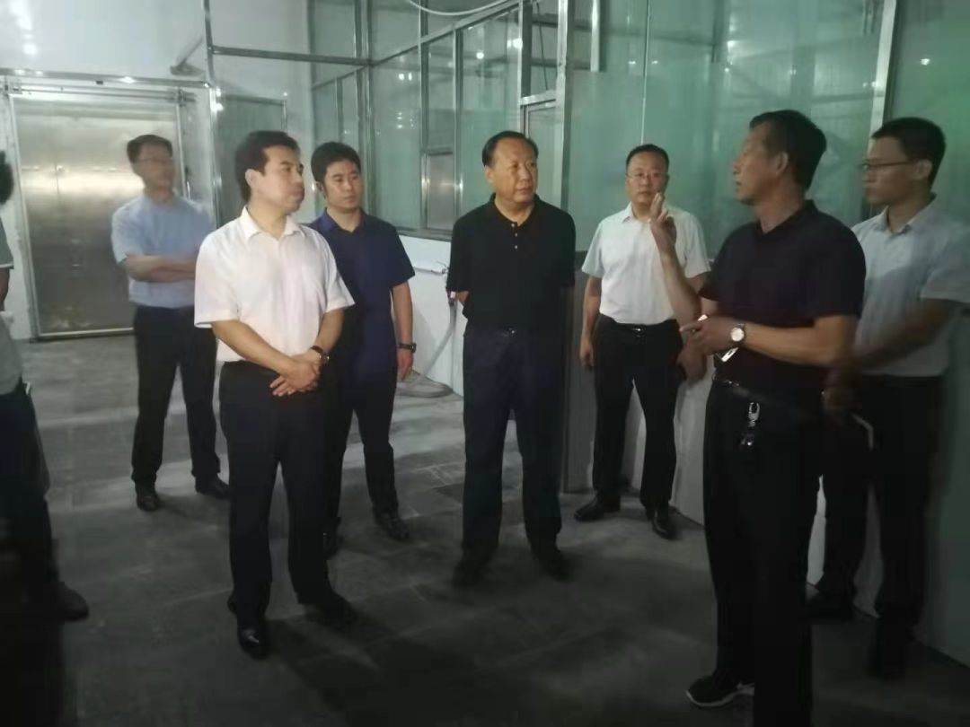 新高铁新高速带来新机遇!肃宁代县长王志乾到窝北镇走访调研