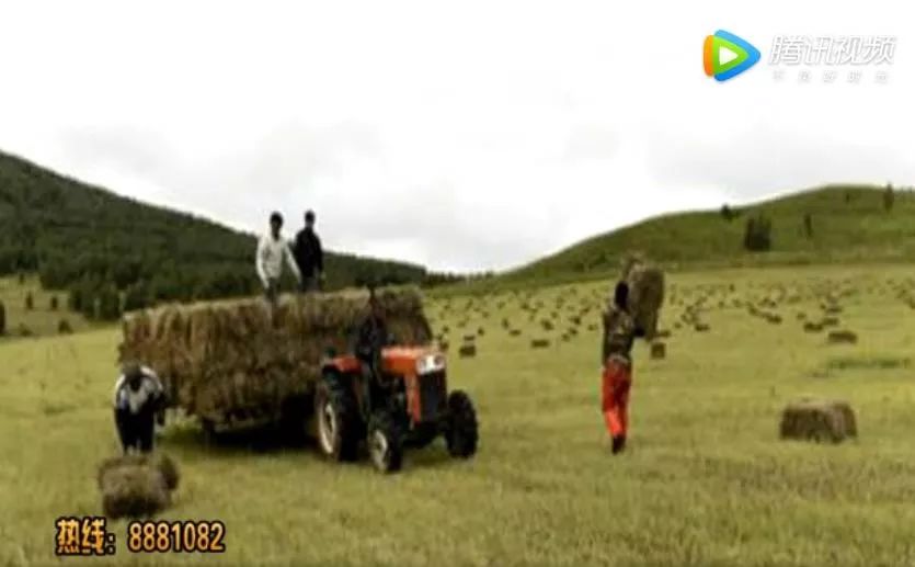 1949年人均寿命_中国2020年人均寿命