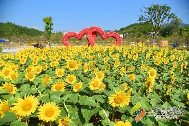 你答题,我请你到花溪谷赏花~_上犹