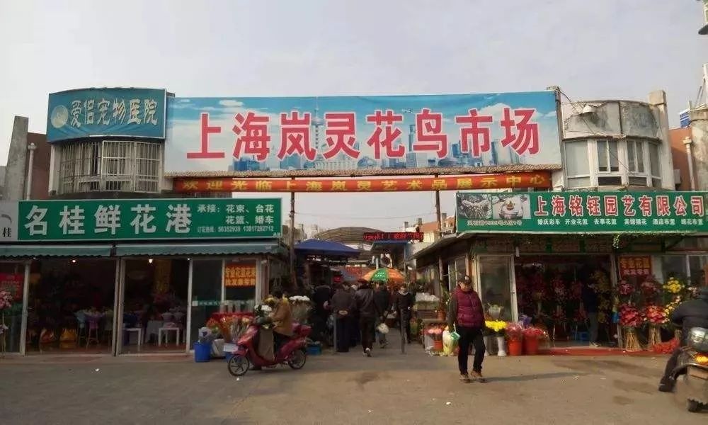 上海岚灵花鸟市场位于上海普陀区灵石路1539号,占地面积3万多平方米