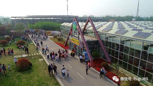 快来丝路小镇打卡啦
