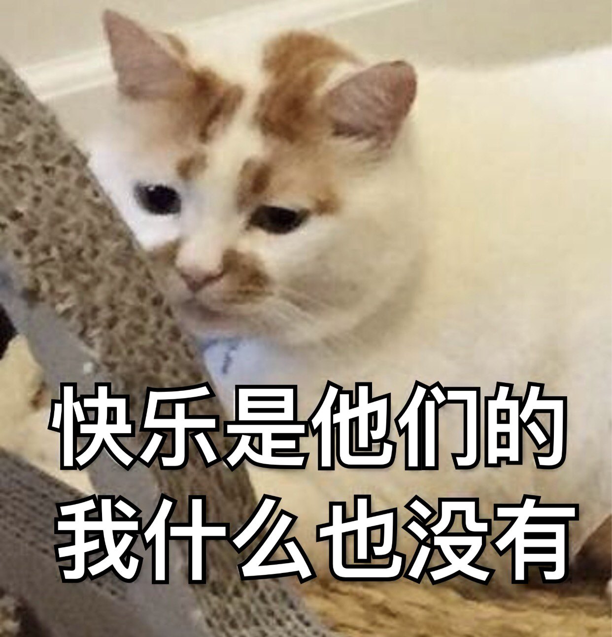 d4e71c69d2c94585a1514c87728de597.jpeg