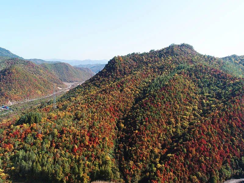 六道江镇香蘑村(鹤大公路过道清收费站至078县道入027乡道)约30分钟