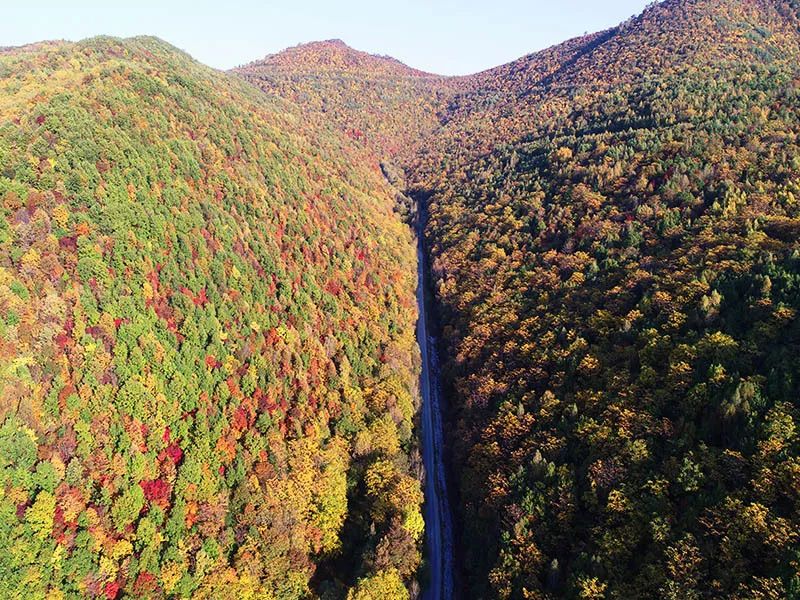 长白山迷宫出发至红土崖镇沿途风光