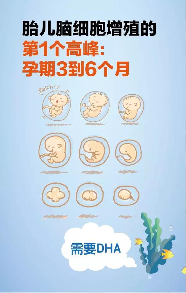 f39cdfa0aee0409d9c99f50da9988e88.JPG