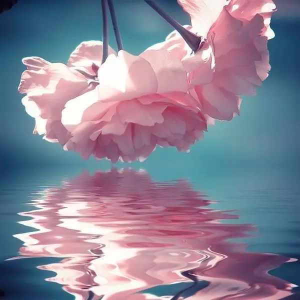 人不可怕,可怕的是心(太现实了)