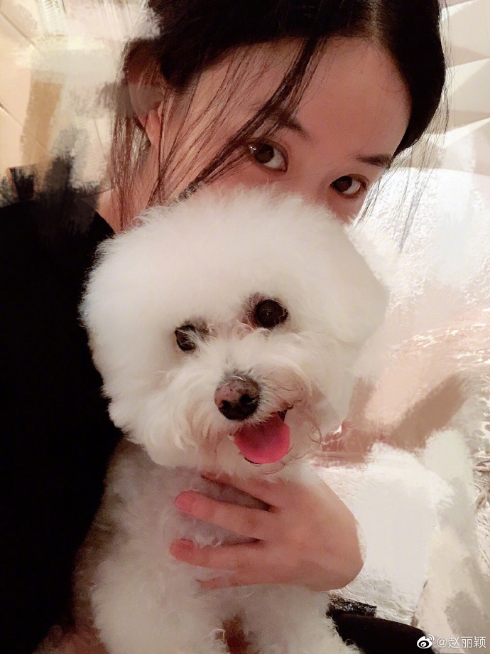f9a0097e9ff346efa1e42015301bae82.jpeg