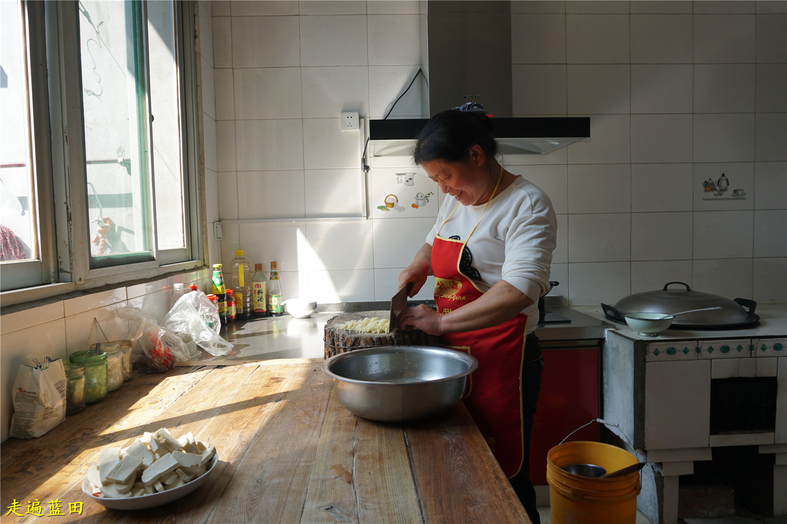 好客的嫂子,是一位吃苦耐劳的农家妇女。现在一直经营着流动卖(豆腐脑