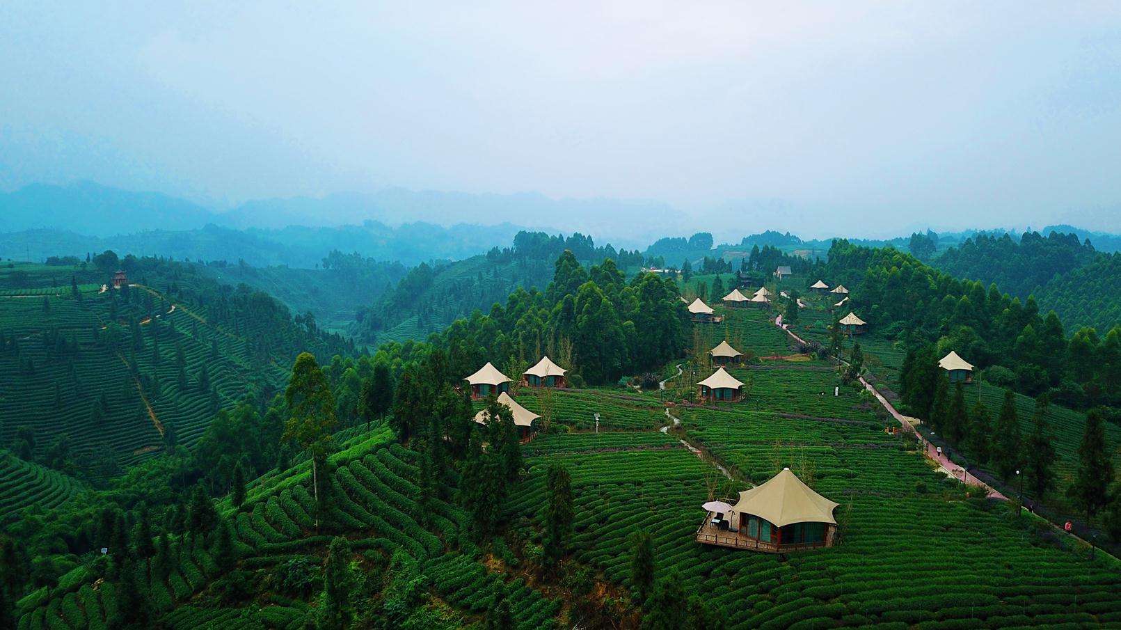 绿水青山,茶香幽远——雅安名山旅游推荐