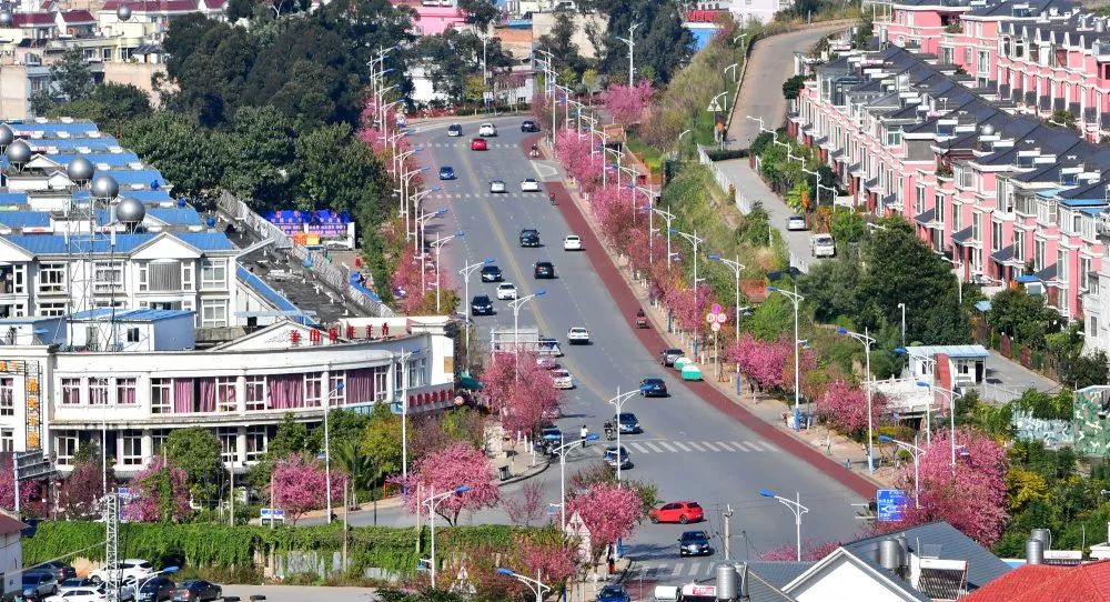 玉溪市红塔区多少人口_玉溪市红塔区真实拍照(3)