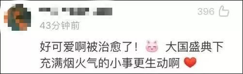 有趣！天安门放飞的7万只鸽子，竟是借的？还会自己回家？
