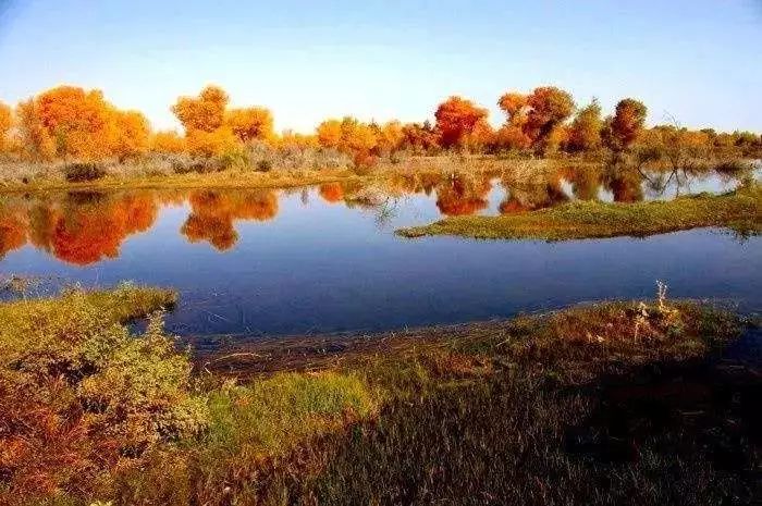 塔里木盆地在哪个自治区 54d4fb1c96184cb48195b0253ade3aff.jpeg