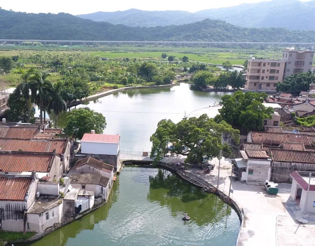 带你了解北林大景观新地标“林之心”背后的“八个突破”_澎湃号·政务_澎湃新闻-The Paper