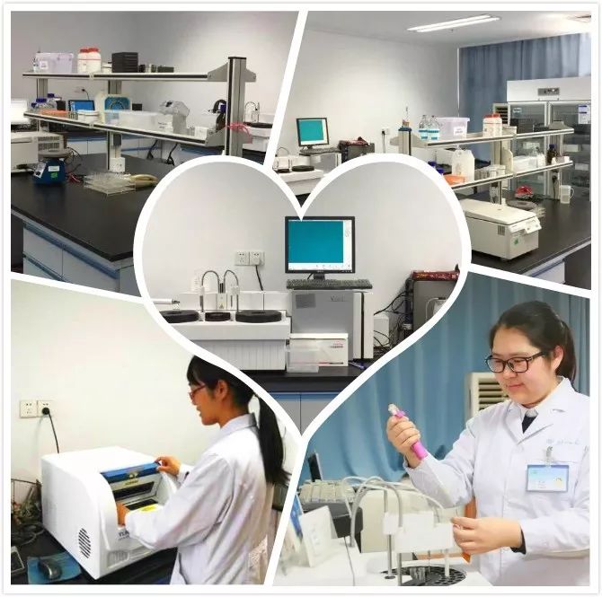 实验室的药师进行着血药浓度监测以及基因检测工作,有效提高了药物的